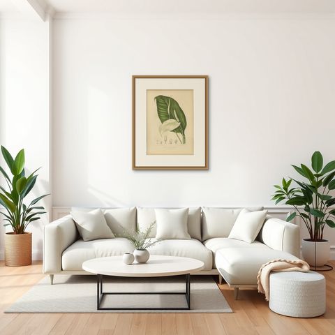 Original Antique Peace Lily Botanical Chromolithograph by Hoola van Nooten, 1880, shown framed in a room, true to size