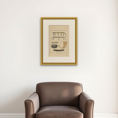 Antique Print with Decorations 'New Guinea, Indonesia' by Temminck, circa 1840, shown framed on a wall, true to size