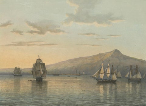 View of Anjer near the Krakatoa Volcano, Sunda Strait, Java Lithograph, 1872, close-up 2