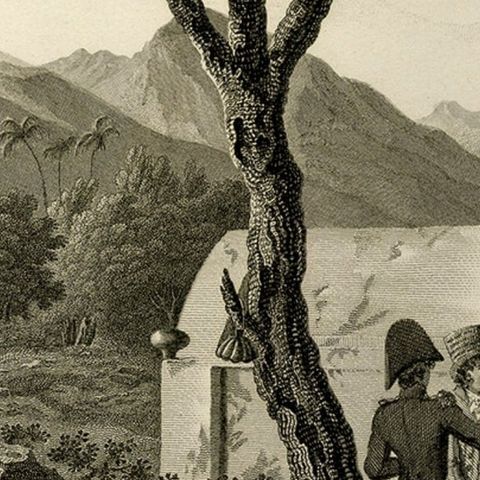 Antique Print of the Tomb of the Raja of Taybeno on the Island Timor, 1825, close-up 3