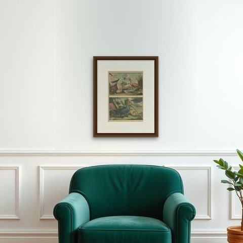 Colored Antique Print of a Swallow, Kingfisher and other Birds of Indonesia, shown framed on a wall, true to size