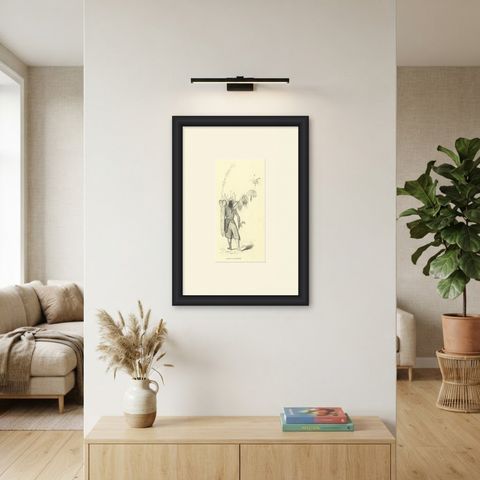 Warrior of the Island of Solor, Antique Wahlen Costume Print, 1843-1844, shown framed on a wall, true to size