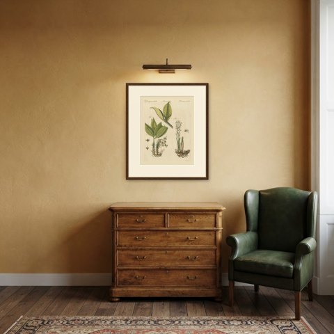 Zedoary and Grains of Paradise Spice Plants, Antique Bertuch Print, circa 1805, shown framed in a room, true to size