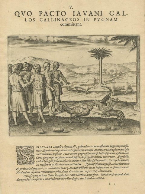 The Cockfight of Java: A 1601 de Bry Engraving of Cultural Pastimes, close-up 2