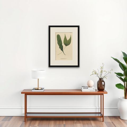 Lushly Handcolored Lithograph of Ferns of Java 'Polypodium', 1829, shown framed on a wall, true to size