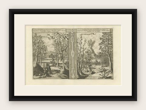 Exotic Bounty: The Spice Lands of the East Indies by R. de Hooghe, circa 1708, shown framed