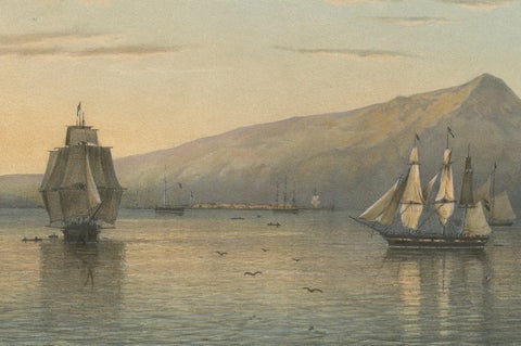 View of Anjer near the Krakatoa Volcano, Sunda Strait, Java Lithograph, 1872, close-up 1