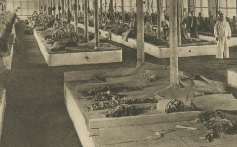 Sorting Tobacco in Lengths and Colors, Sumatra, Kleingrothe Photogravure c.1900, close-up 1
