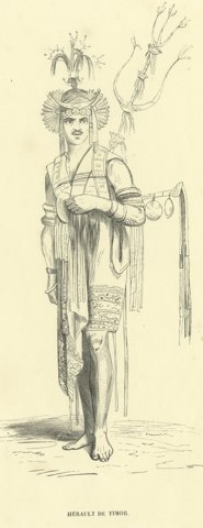 Herald of Timor, Antique Wahlen Costume Print, 1843-1844