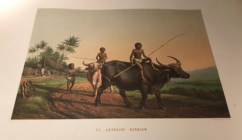 De Indische Archipel by C.W. Mieling, 1865-1876, view 4