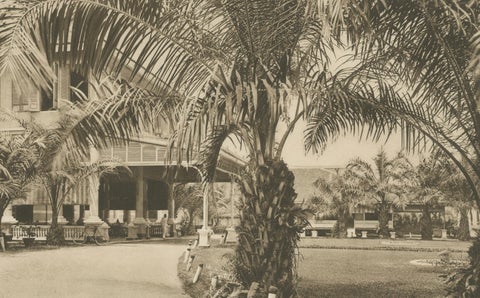 Medan Hotel, Antique Photogravure of Colonial Indonesia, c.1900, close-up 1