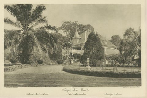 Set of 3 Antique Photogravures of Sumatra Plantations, Deli, Medan Region, 1900, close-up 5
