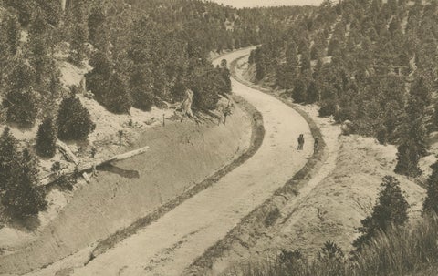 Set of 3 Antique Photogravures of Sumatra Plantations, Deli, Medan Region, 1900, close-up 2