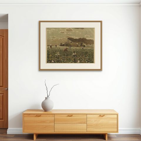 Antique Print 'Schoolplate' of a Cotton Field by F.E. Wachsmuth, circa 1900, shown framed on a wall, true to size