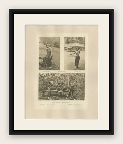 Batik, Sifting Rice & Women Working, Antique Photogravure of Batak People 1900, shown framed