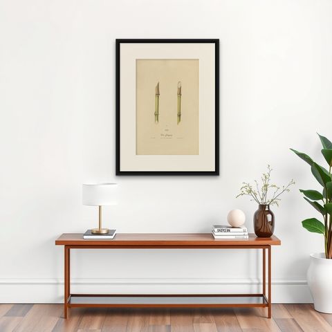 Antique Sugarcane Chromolithograph, Teboe Glonggong, Java 1892, shown framed on a wall, true to size