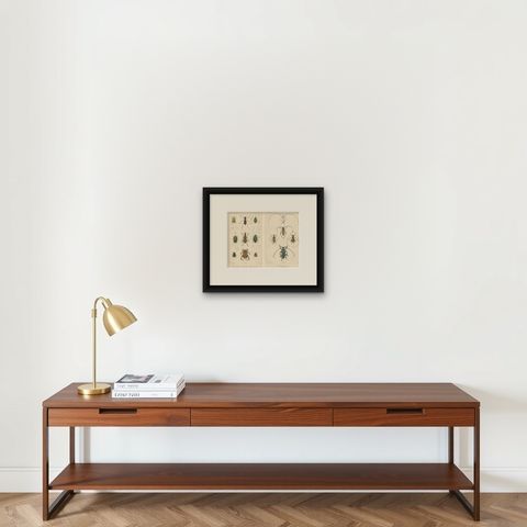 Set of 2 Antique Beetle Prints, Scarab, Ground & Longhorn Beetles, Sumatra 1887, shown framed on a wall, true to size