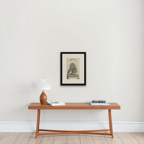 Rare Old Copper Engraving of a Clove Tree in the East Indies, Asia, 1659, shown framed on a wall, true to size