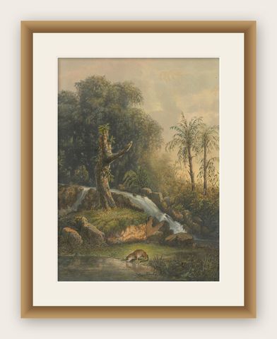 Wild Landscape with Waterfall and Jungle Life, Java Lithograph, Published 1872, shown framed