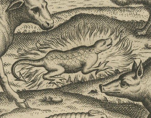 Rare Creatures of the East: A 1601 de Bry Copper Engraving from the Indies, close-up 4