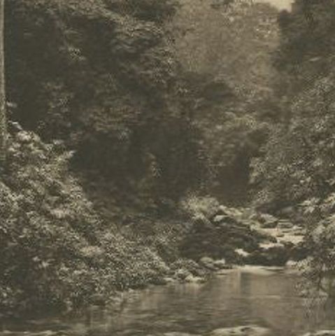 Antique Print of the Jungle and Sungai Belawan River by Kleingrothe, c.1910, close-up 2