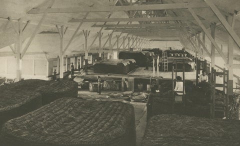 Tobacco Fermentation & Packing, Deli, Sumatra, Kleingrothe, c.1900, close-up 5
