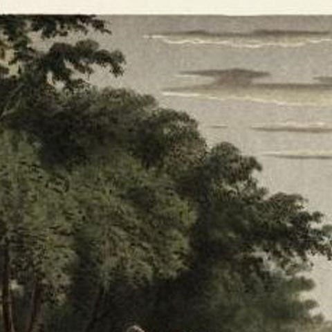 Antique Print of a Carriage Ride in Magelang, Java in Indonesia, 1888, close-up 1